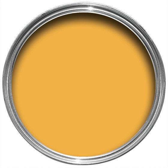 Farrow & Ball Paint 750ml Flat Eggshell Dutch Orange No.W76